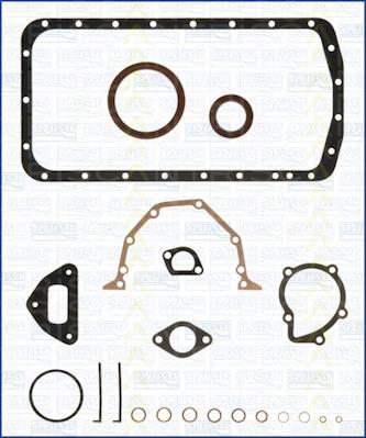 Triscan 595-1806 - Set garnituri, carter allinparts.ro