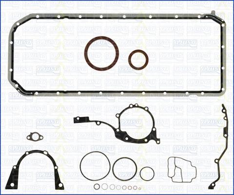 Triscan 595-1766 - Set garnituri, carter - allinparts.ro