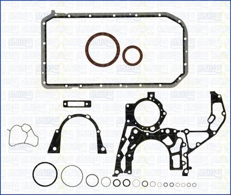 Triscan 595-1720 - Set garnituri, carter - allinparts.ro
