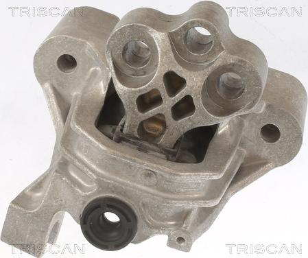 Triscan 8505 15104 - Suport motor - allinparts.ro