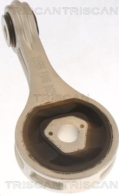 Triscan 8505 15100 - Suport motor - allinparts.ro