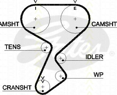 Triscan 8645 5487xs - Curea de distributie - allinparts.ro