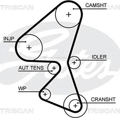Triscan 8645 5657xs - Curea de distributie allinparts.ro