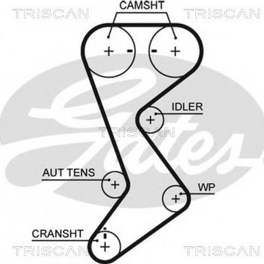 Triscan 8645 t265 - Curea de distributie allinparts.ro