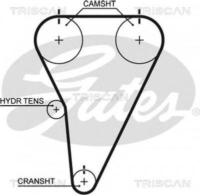 Triscan 8645 t215 - Curea de distributie allinparts.ro