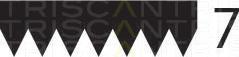 Triscan 8640 701855 - Curea transmisie cu caneluri - allinparts.ro