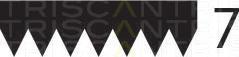 Triscan 8640 702265 - Curea transmisie cu caneluri allinparts.ro