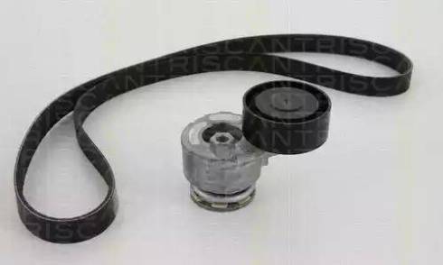 Triscan 8642 25001 - Set curea transmisie cu caneluri allinparts.ro