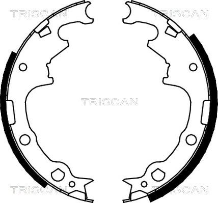 Triscan 8100 10001 - Set saboti frana - allinparts.ro