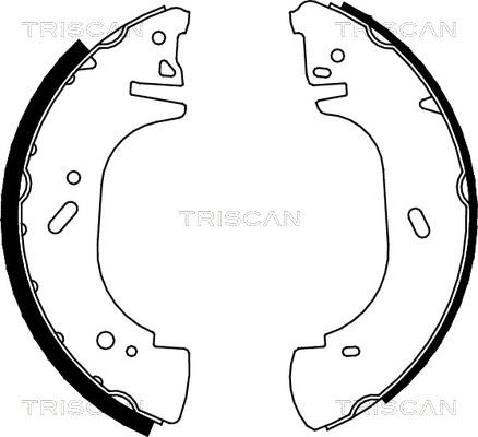 Triscan 8100 10002 - Set saboti frana - allinparts.ro