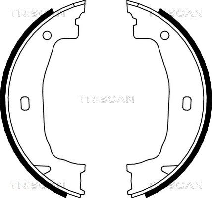 Triscan 8100 11011 - Set saboti frana - allinparts.ro