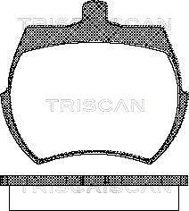 Triscan 8110 17019 - Set placute frana,frana disc allinparts.ro