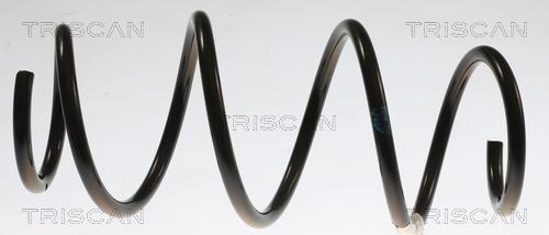 Triscan 8750 8204 - Arc spiral - allinparts.ro