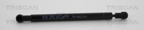 Triscan 8710 10215 - Amortizor portbagaj - allinparts.ro