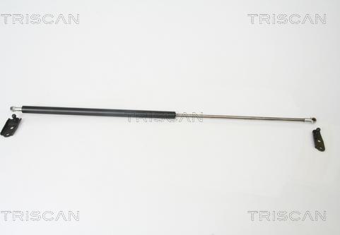 Triscan 8710 13252 - Amortizor portbagaj allinparts.ro