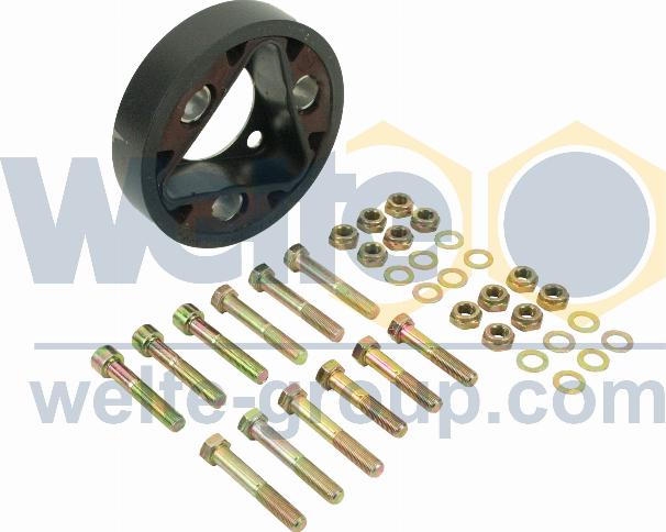 WELTE 100000746-GE - Amortizor vibratii,cardan allinparts.ro