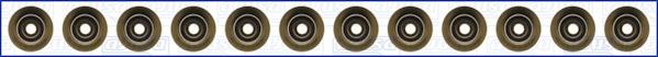 Wilmink Group WG1455771 - Set garnituri, ax supape - allinparts.ro