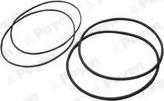 Wilmink Group WG1460716 - Set garnituri, bucsa cilindru - allinparts.ro