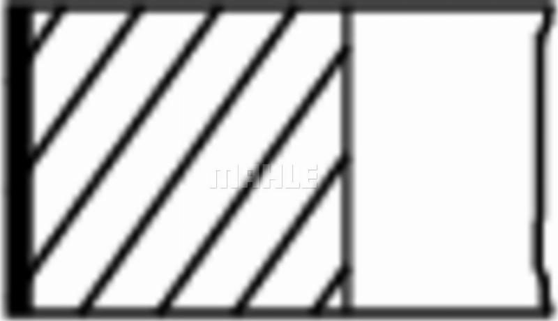 Wilmink Group WG2470604 - Set segmenti piston - allinparts.ro
