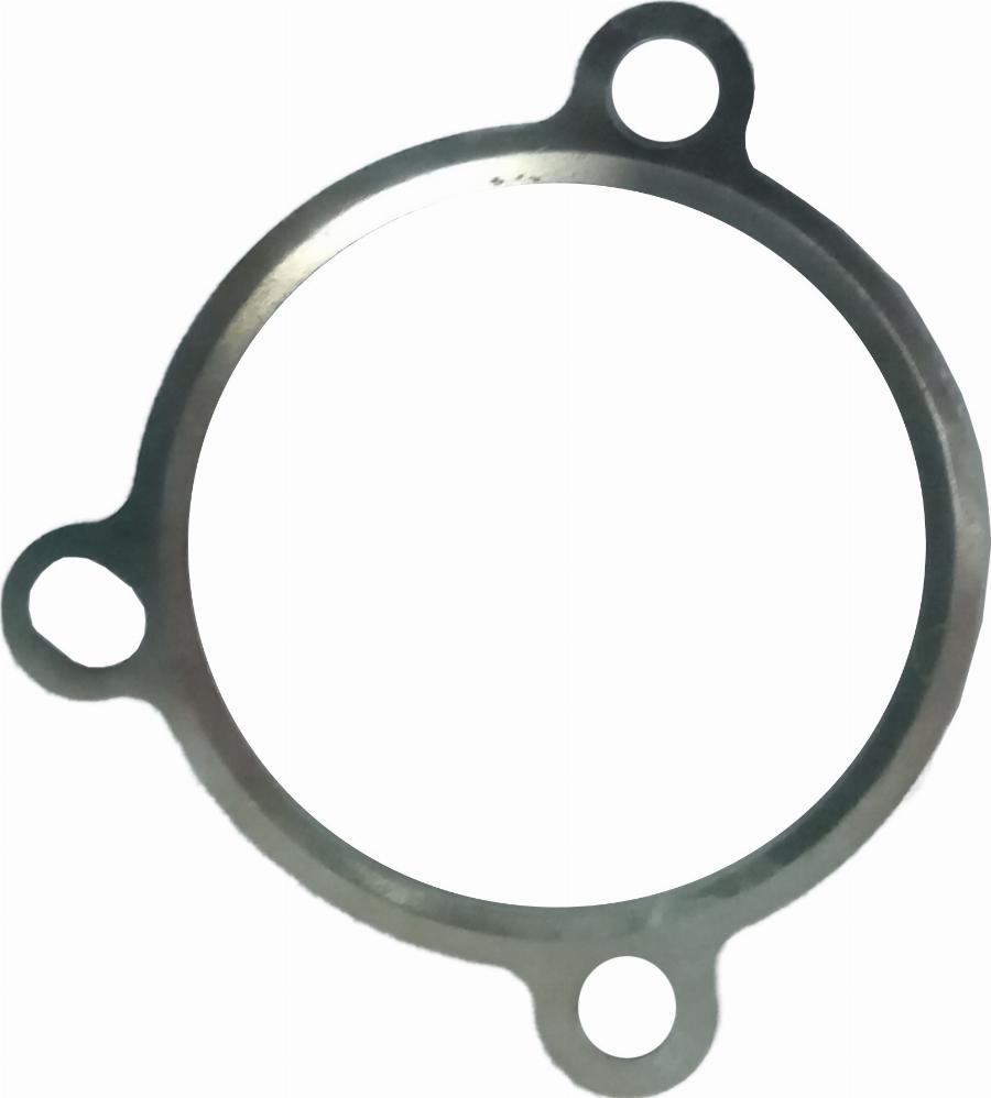 WRC 1000006 - Garnitura, ventil AGR - allinparts.ro