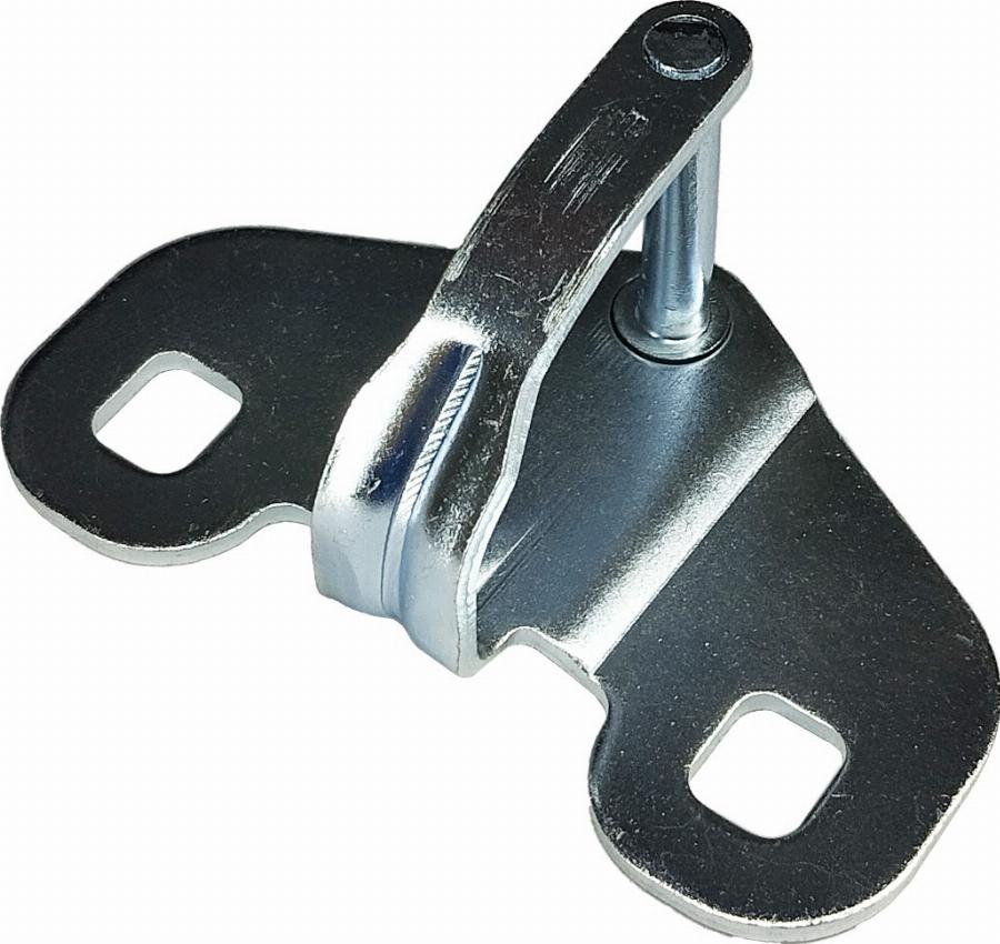 CARRO 604207255 - Ghid, buton de inchidere - allinparts.ro
