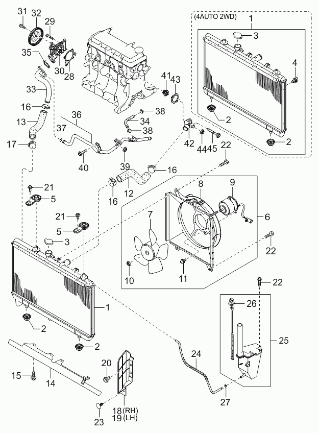 KIA-HYUNDAI MJF0215538A - Bec incandescent, bec lumina zi allinparts.ro