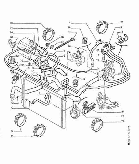 PSA 6981 L2 - HOSE CLIP allinparts.ro