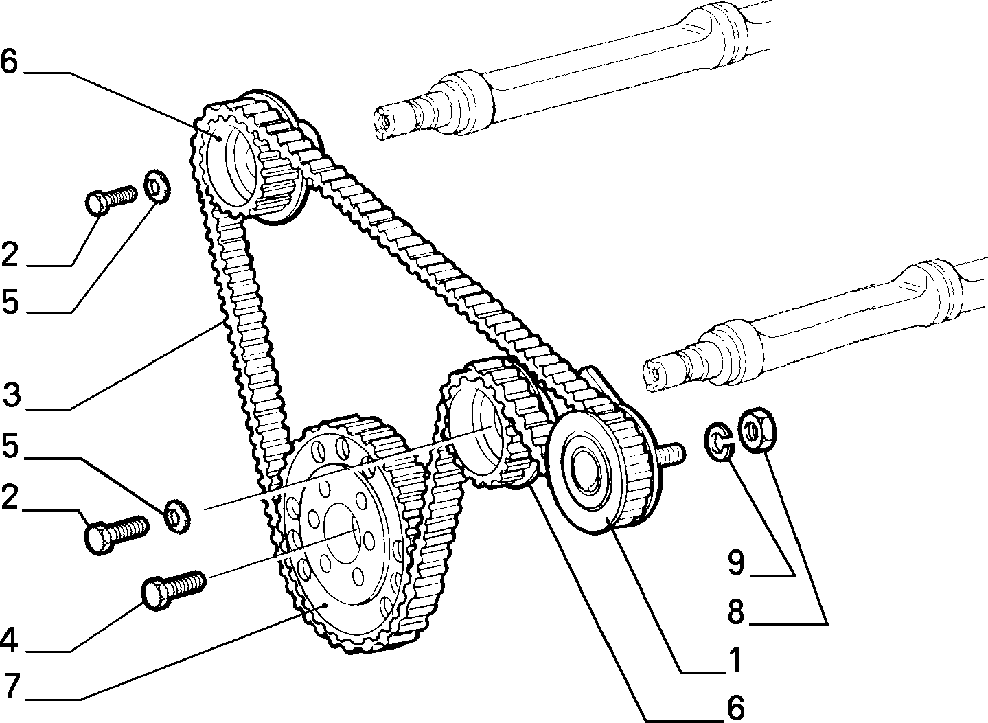 FCA 60812381 - Rola intinzator,curea distributie allinparts.ro